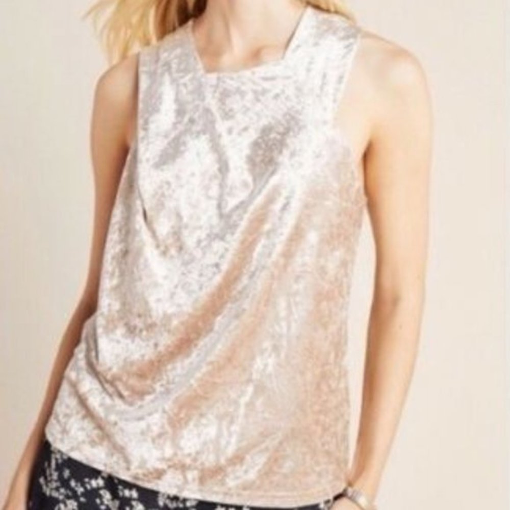 Women's Anthropologie Porridge‎ Jessie Velvet Shimmer Sleeveless Top Size 1X